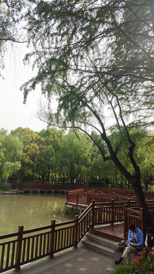 Pudong Jinqiao Park, the backyard of nearby residents, 30.