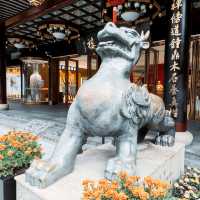 The Street With a History | Shanghai 