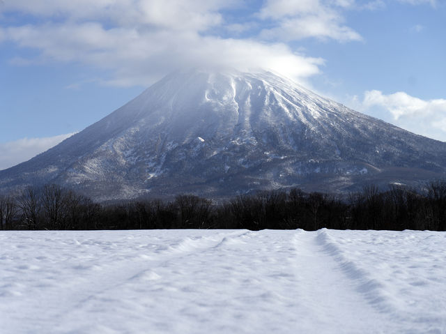 🦌【北海道の野生動物大暴露】👀🐾