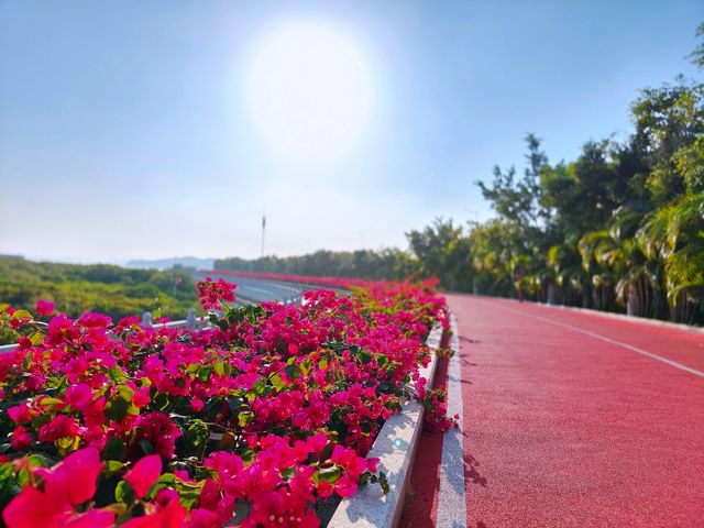 潛藏在防城港市中心的旅遊景區