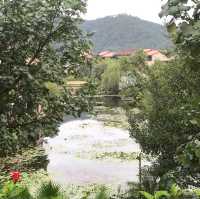 Conghua - The Home of Relaxation 