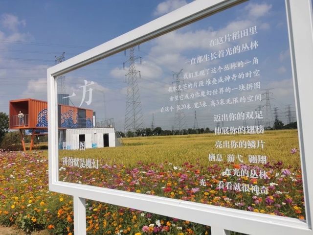 黃泗浦生態公園——在“元宇宙”中來一場“奇幻考古”