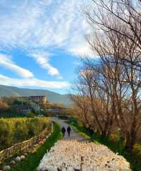 阿爾巴尼亞萊什Mrizi i Zanave Agroturizëm