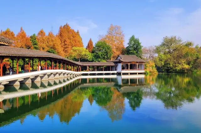 Autumn Scenery in Hangzhou City (2)