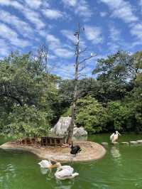 一起跟萌娃玩轉昆明動物園！