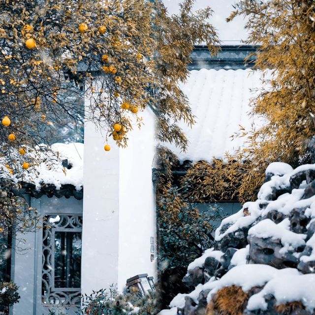 南京|瞻園和秦淮河畔，雪前雪後的景象，這才是人間仙境吧…