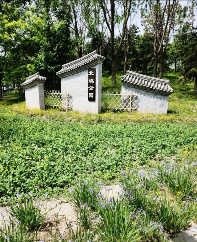 北京週末帶小孩遊玩—北塢公園