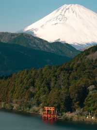 旅拍風光｜箱根的夕陽｜富士山與鳥居⛩️