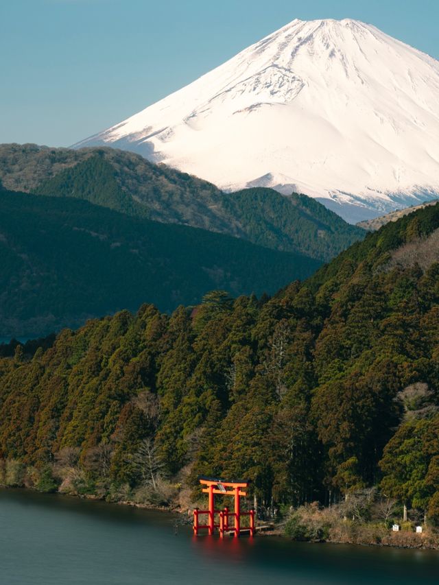 旅拍風光｜箱根的夕陽｜富士山與鳥居⛩️