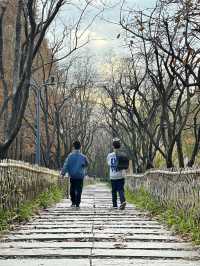 絕美濕地公園自然主義的天堂
