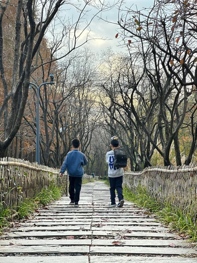 絕美濕地公園自然主義的天堂