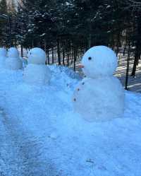 長白山萬達滑雪：你的小眾滑雪勝地，體驗不一樣的冬季