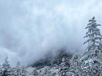 雲南|這兩天的驕子雪山，美的不像話！