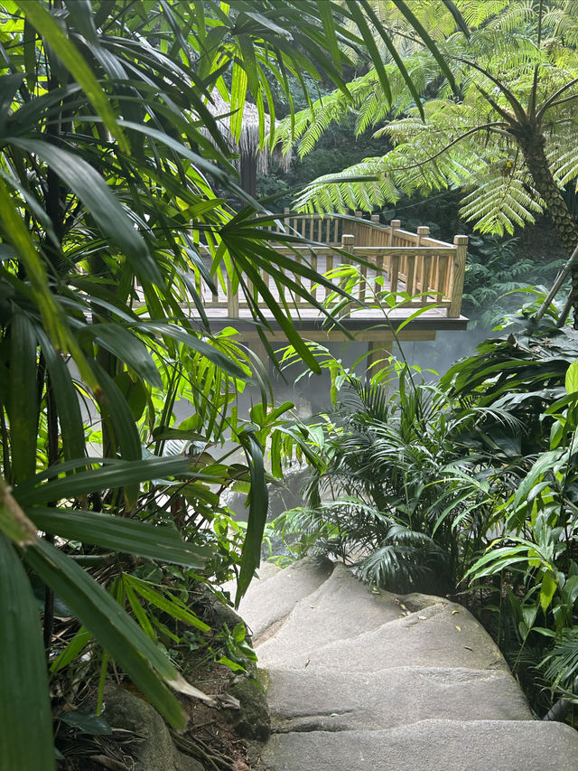 誤入仙境-廈門植物園