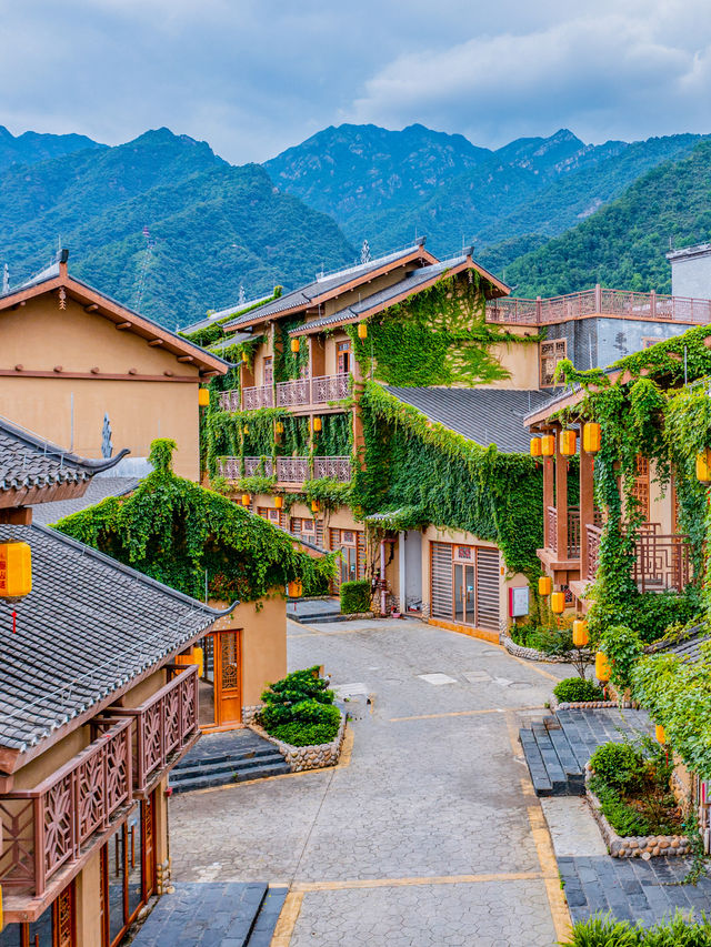 廣東周邊遊，走進韶關雲門山深林氧吧