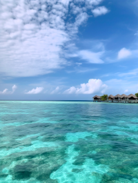 馬爾代夫嬌麗島，嗨翻天！回來比失戀還難！