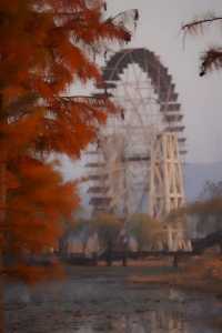 去太湖濕地公園，晚秋景是最誘人