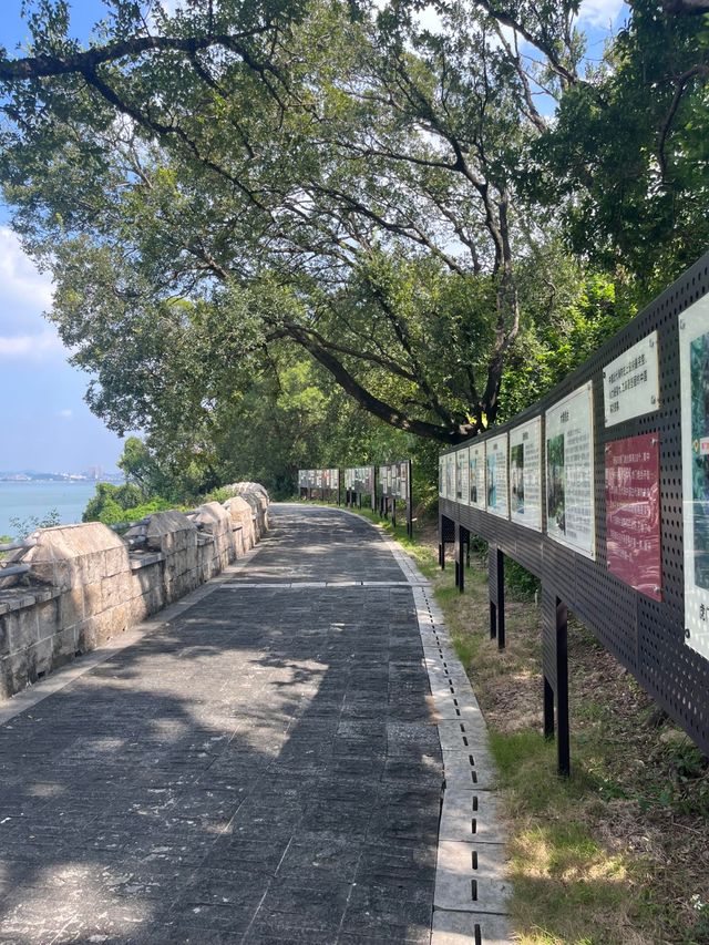 中國近代史D一頁在此開啟|蒲洲砲臺