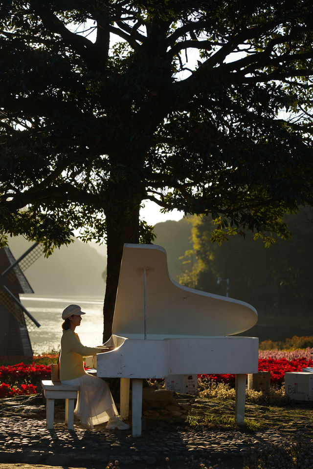 石門公園很秋天但是聽勸別來…