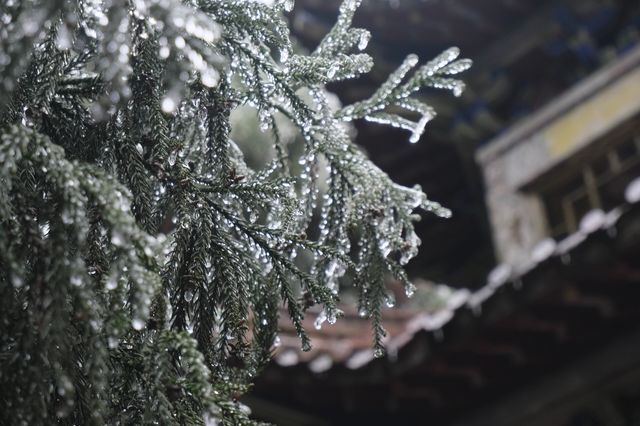 廣西貴港之行 | 平天山霧凇