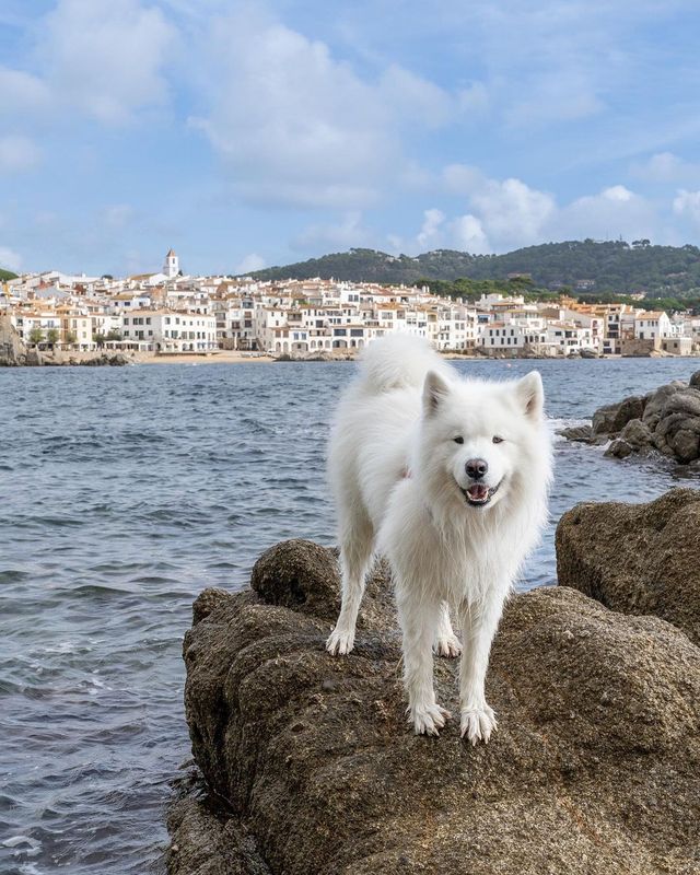 😍❤️ Dive into the charm of Spanish beach towns with this adorable series! Which photo steals your heart? 🏖️🇪🇸