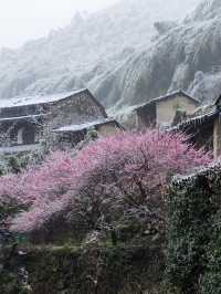 浙江的冰雪世界，我在缙云找到超美「魯冰花」