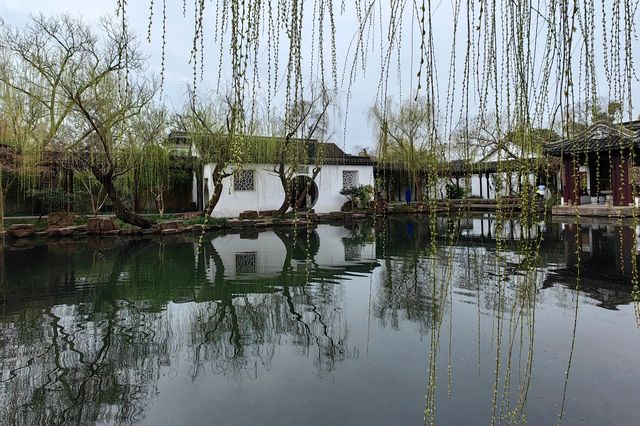 鐵骨紅：江南第一枝|可園（1573）