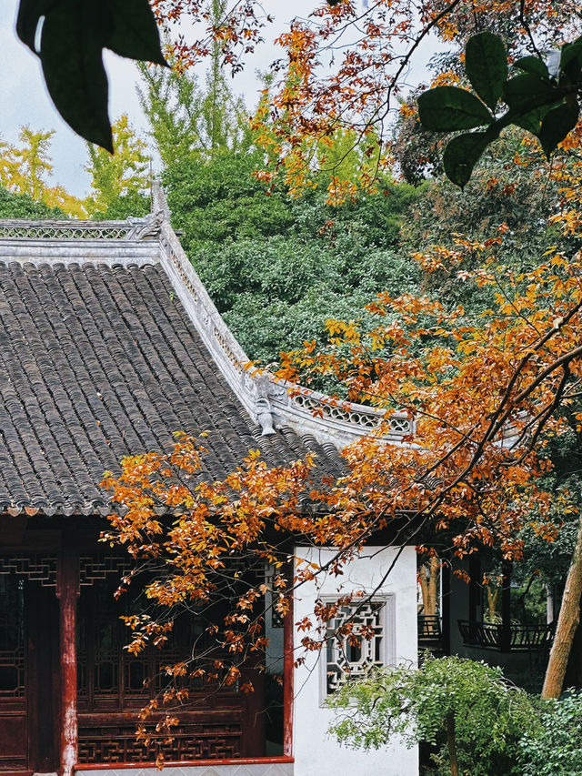 上海周末遊｜藏在嘉定的絕美中式園林