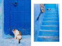 摩洛哥·舍夫沙萬藍色顏料的世界