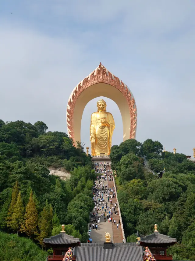 In this life, I must go to the world's highest real gold Buddha statue, Donglin Buddha tour guide