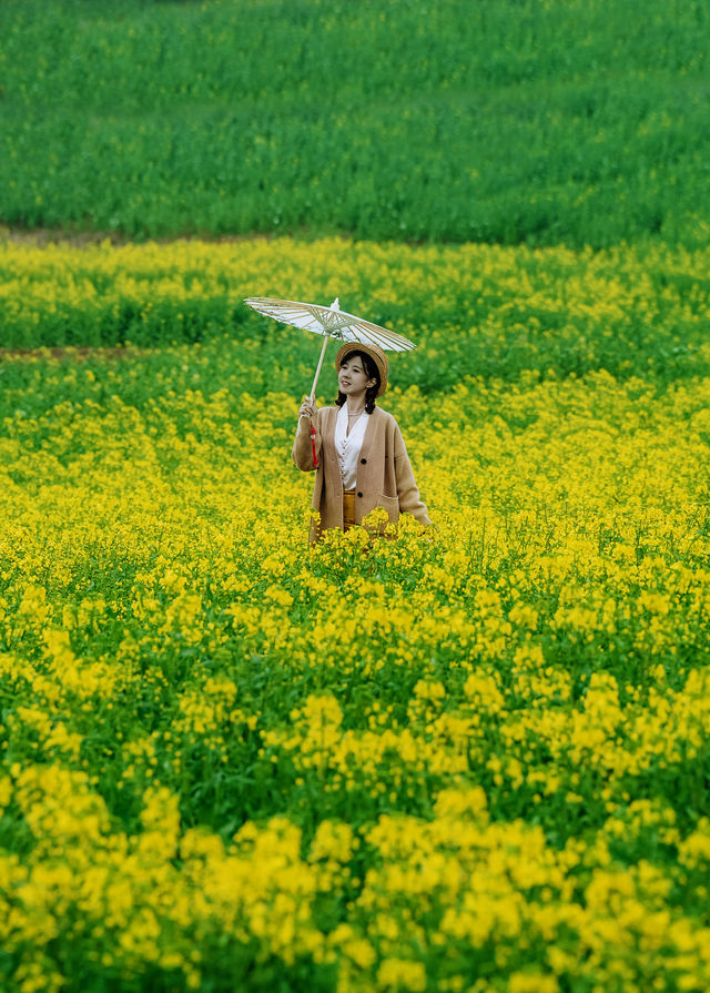 桠溪慢城｜南京最美油菜花海賞花攻略