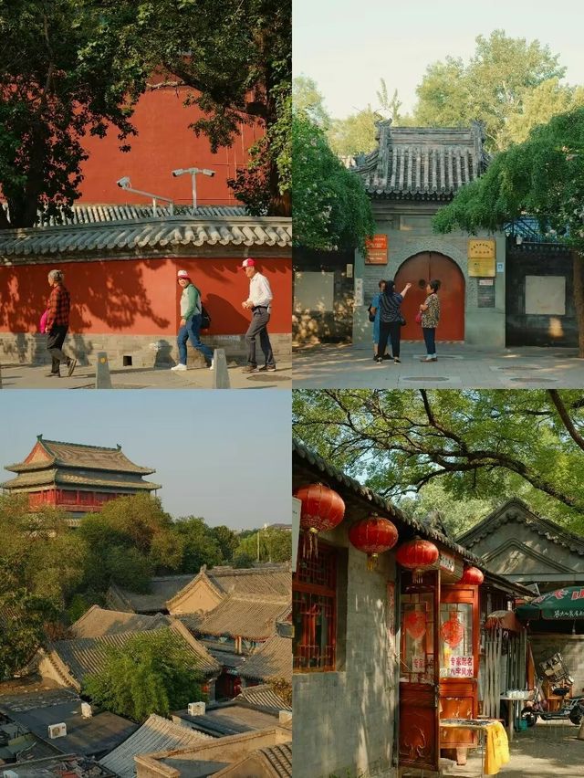 北京的秋天，去散步吧！