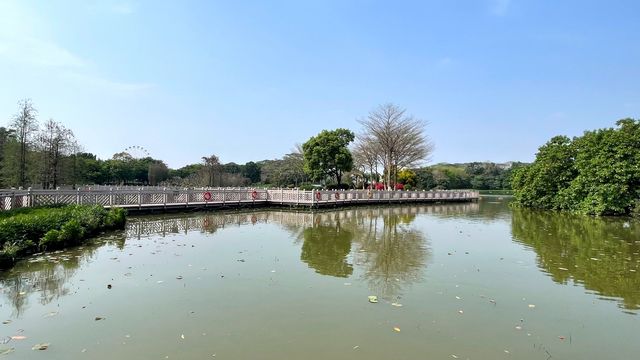 來廣州白雲湖游玩，記得預留多一點時間