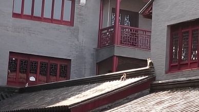我在深圳拍到了千與千尋，地鐵直達免費古鎮——深圳古玩城