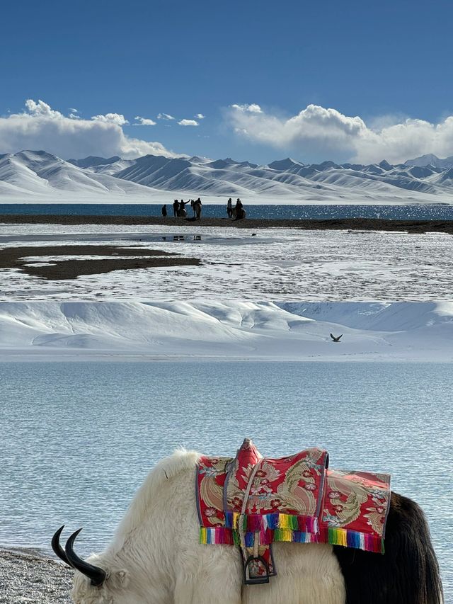 冬天的西藏｜你沒去過納木措真是太遺憾了