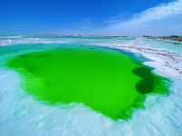 亞洲最大 世界第二的鹽湖在這裡