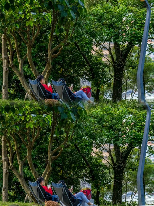 漁村裡的隱世公園—深圳煙墩山公園
