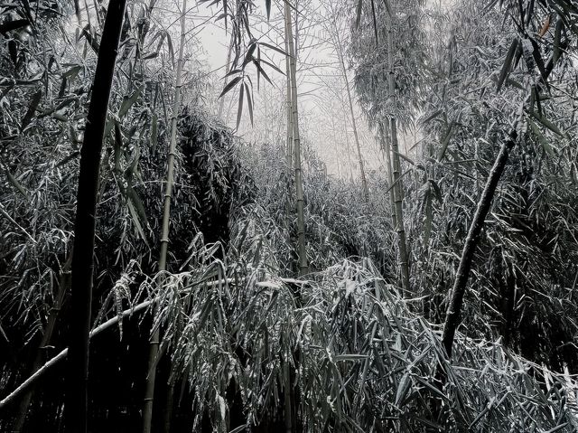 風雪中的倉聖公園