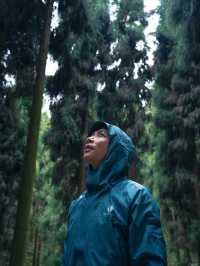 每週一山｜成都周邊中壩森林徒步一天