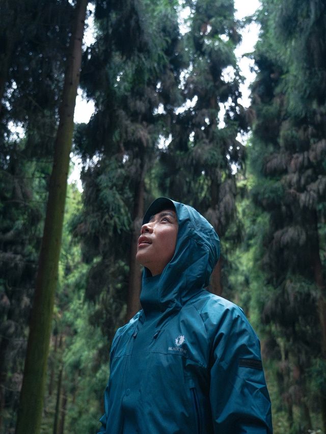 每週一山｜成都周邊中壩森林徒步一天