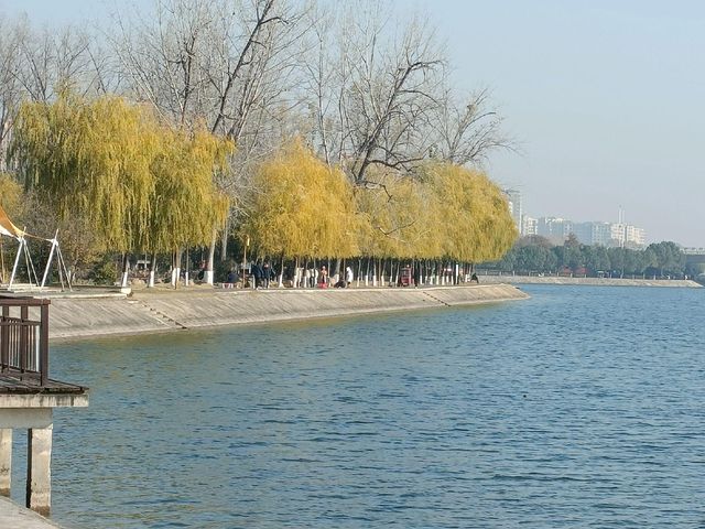 河南南陽白河濕地公園 | 遛娃好去處！