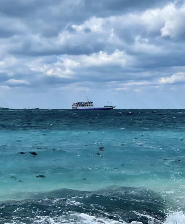 韓國濟州島| 2月自由行公車版省錢攻略