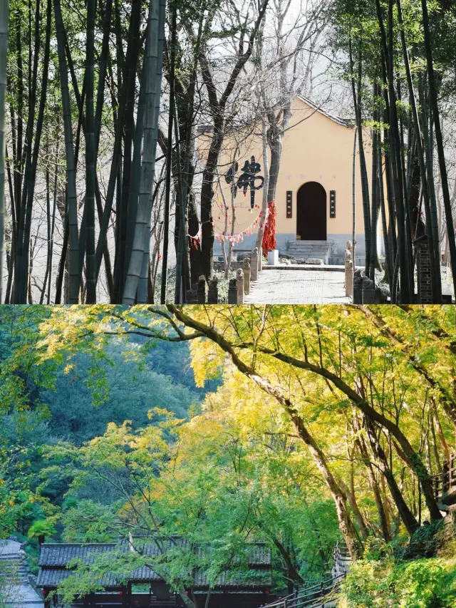 마을이 이미 아름답다고 생각했는데, 이곳에 와서야 비로소 알았다