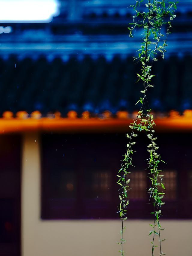 安昌古鎮——藏在紹興的煙火江南，逛不膩的人間勝地