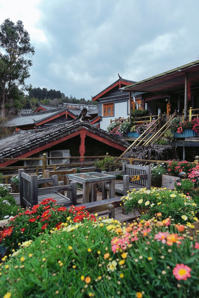 Lijiang Journey/With you yearning for poetry and the distant horizon