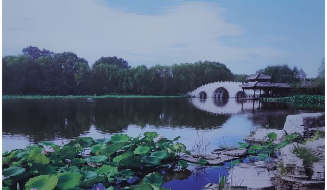 天津津北森林公園