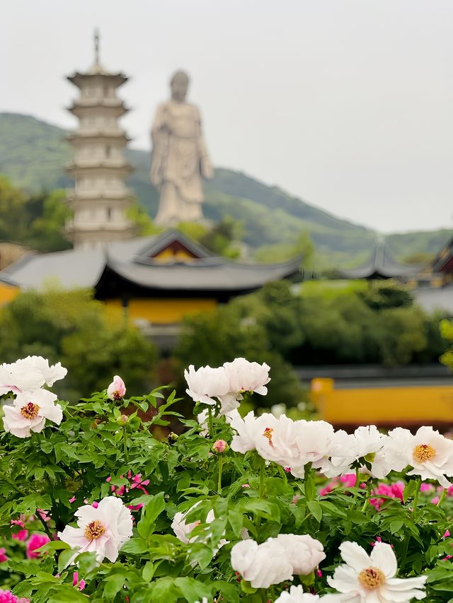 無錫靈山大佛，一生必遊之地