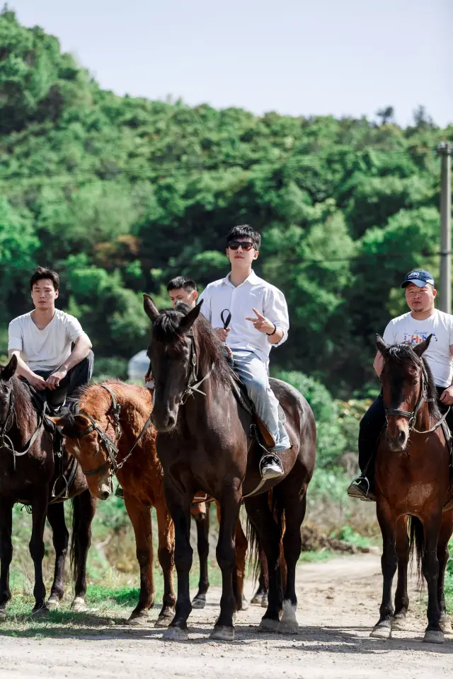 After starting my own business and becoming the boss, I organized the company's first team-building event at Xiangshan Yafan