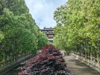 寧波彌勒道場｜奉化嶽林禪寺