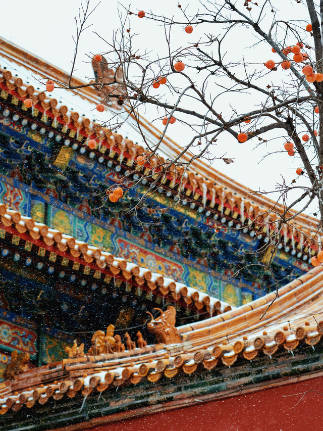 北京賞雪